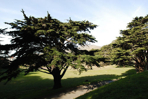 Hi Marin Headlands Hostel Sausalito Ngoại thất bức ảnh